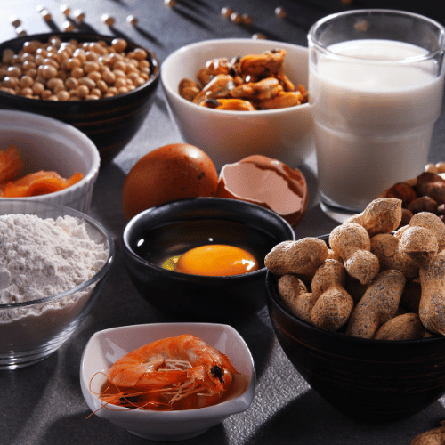 image containing common allergy foods: shellfish, milk, eggs, wheat, soy, and tree nuts.